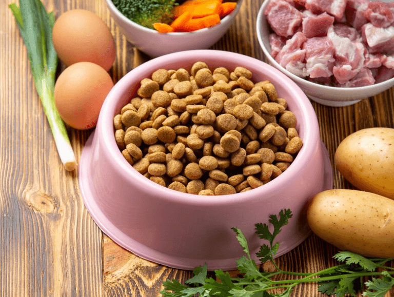 Co je BARF a jak správně krmit psa tímto zdravým způsobem