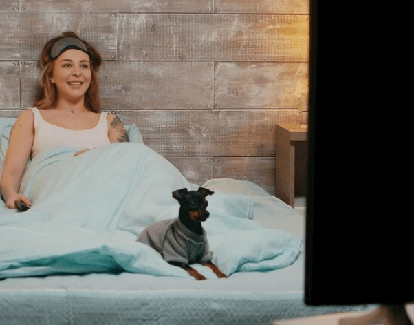 Jak vidí pes televizi: Jak vnímá svět pes skrze obrazovku?