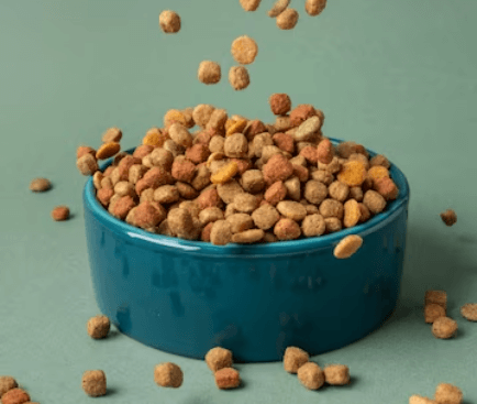 Jak správně číst složení psího krmiva