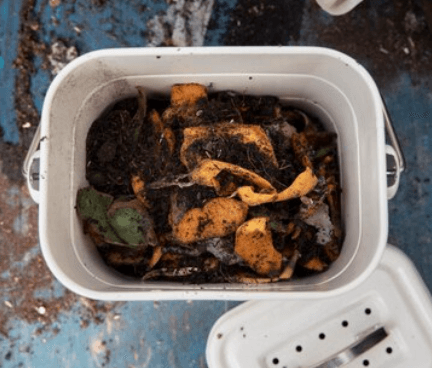 Jak vybrat domácí kompostér: Průvodce výběrem