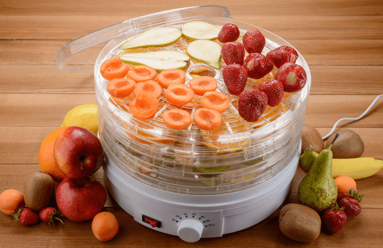 Jak vybrat sušičku potravin