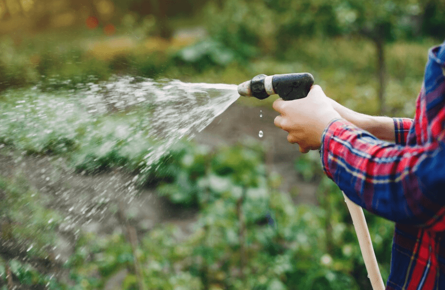 Co je ruční a automatické zavlažování zahrady a jak na něj?