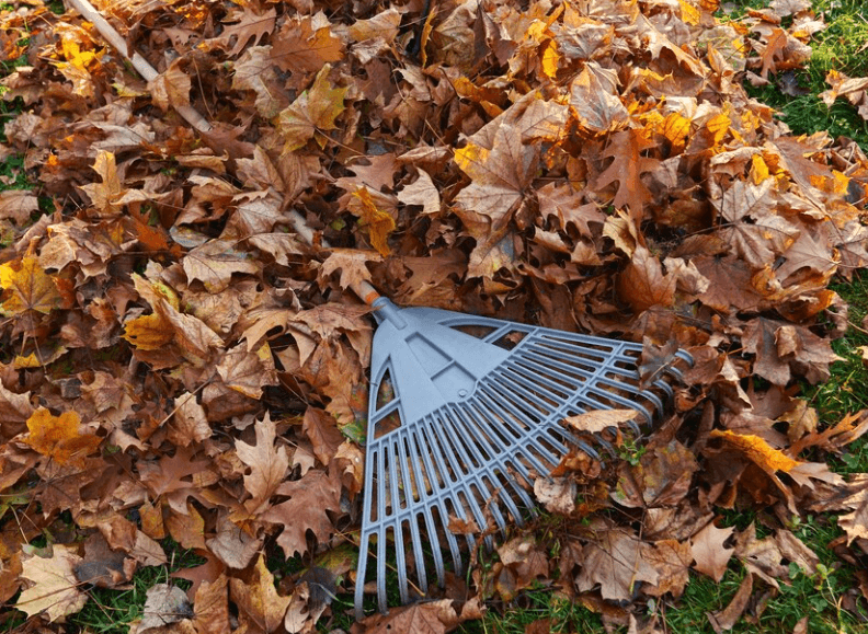 Jak správně v podzimním období připravit zahradu na zimu?