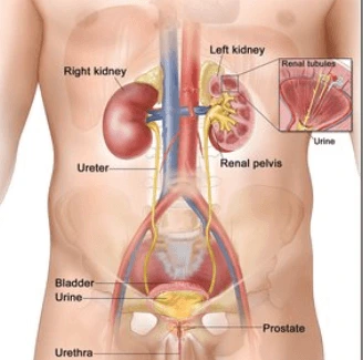 Co je Von Hippel-Lindauův syndrom u dětí a jak se léčí