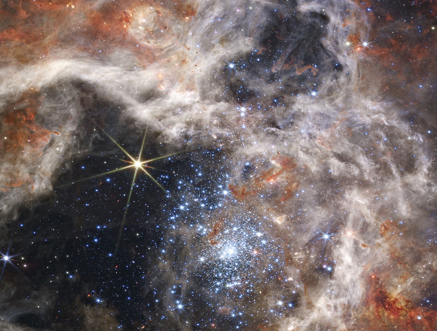 MLHOVINA TARANTULE VYFOTOGRAFOVÁNA V NEVÍDANÝCH DETAILECH