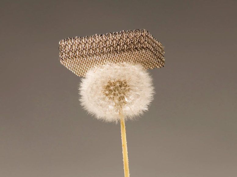 VÝZKUMNÍCI VYVINULI NEJLEHČÍ MATERIÁL NA SVĚTĚ