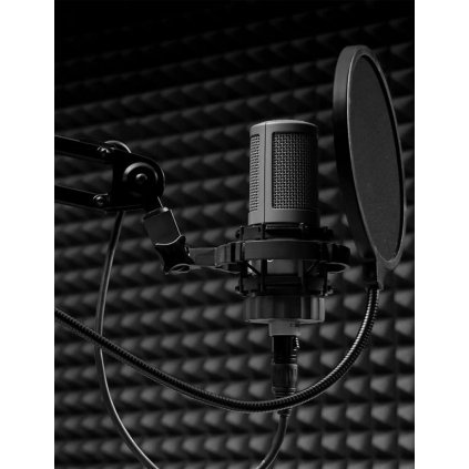 Microphone in studio