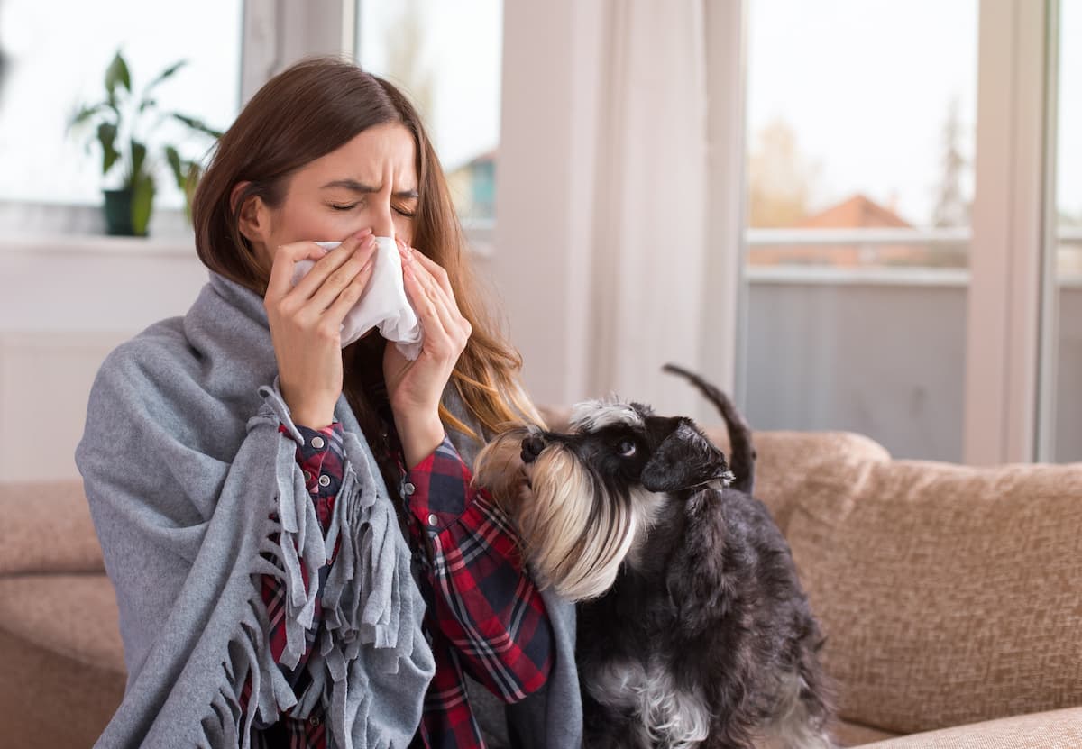alergia-na-psa