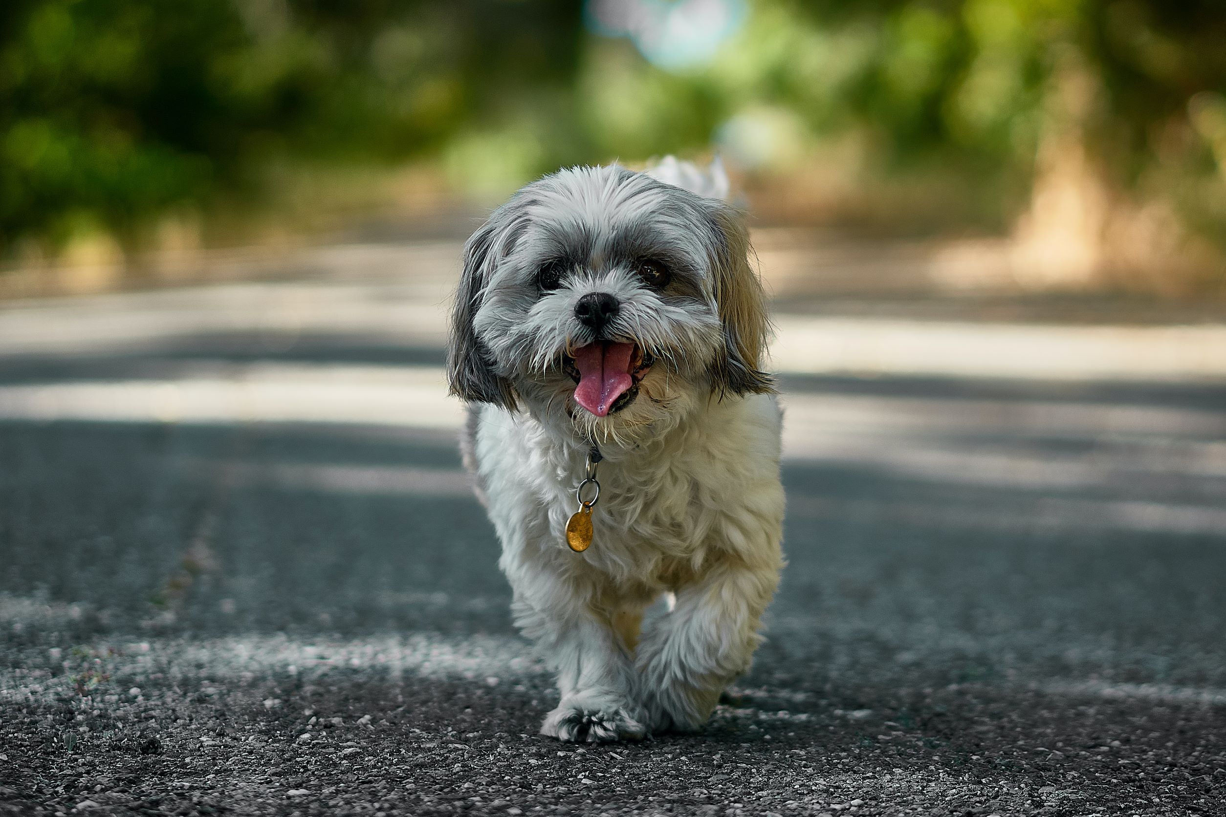 nikolay-tchaouchev-FbG7KdgPSjs-unsplash