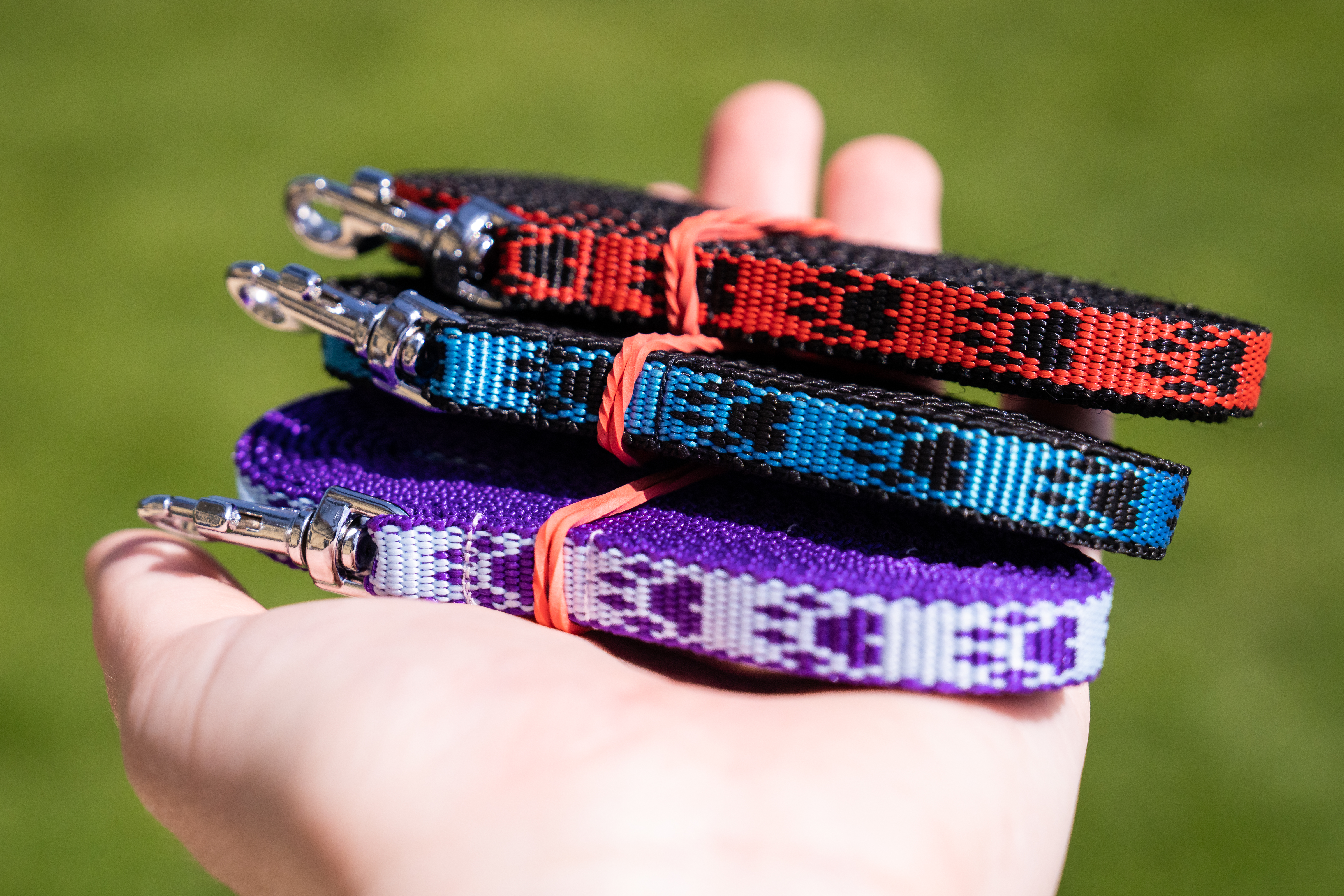 Jak by mělo vypadat ideální vodítko?