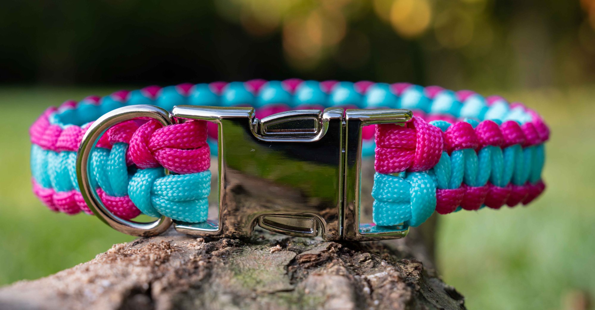 Jak změřit obvod krku psa?