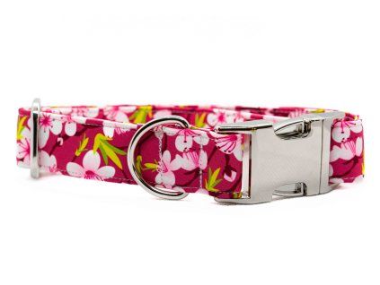 Softshell obojek MALGIE cherry blossom