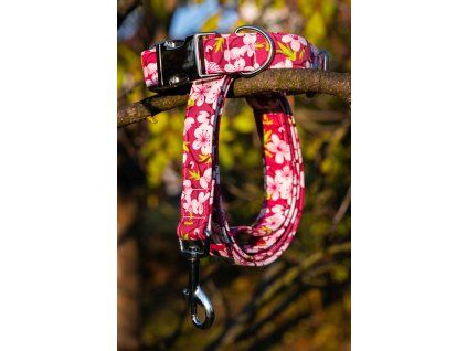 Softshell set MALGIE cherry blossom