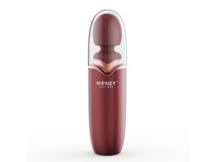 Stormi Powerful Wand Massager