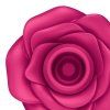 satisfyer pro2 classic blossom airpulse detail view