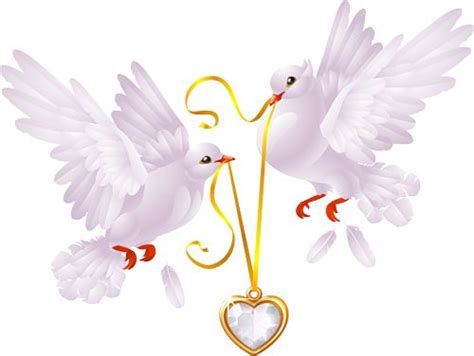 7ef36dee6788a9025f81ed272f430710