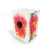 Carton Cajon Elephant 5
