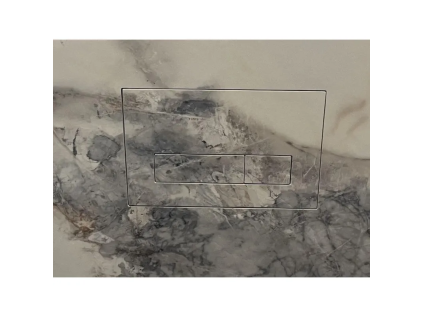 ca2b8d6a011769062202