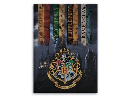 FLÍSOVÁ DEKA HARRY POTTER (Velikost uni)