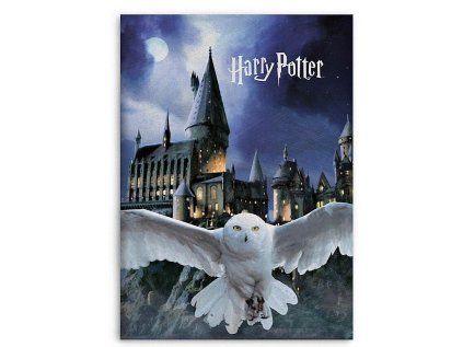 FLÍSOVÁ DEKA HARRY POTTER (Velikost uni)