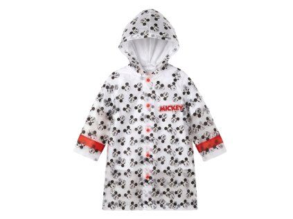 plastenka mickey a