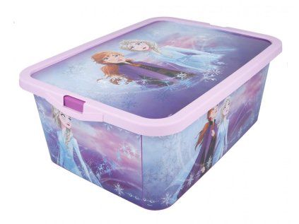 ÚLOŽNÝ BOX FROZEN  (Velikost uni)