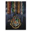FLÍSOVÁ DEKA HARRY POTTER (Velikost uni)