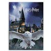 FLÍSOVÁ DEKA HARRY POTTER (Velikost uni)