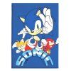 FLÍSOVÁ DEKA SONIC (Velikost uni)