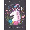 FLÍSOVÁ DEKA UNICORN (Velikost uni)