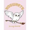 XL FLÍSOVÁ DEKA  HARRY POTTER HEDVIKA DE LUX (Velikost uni)