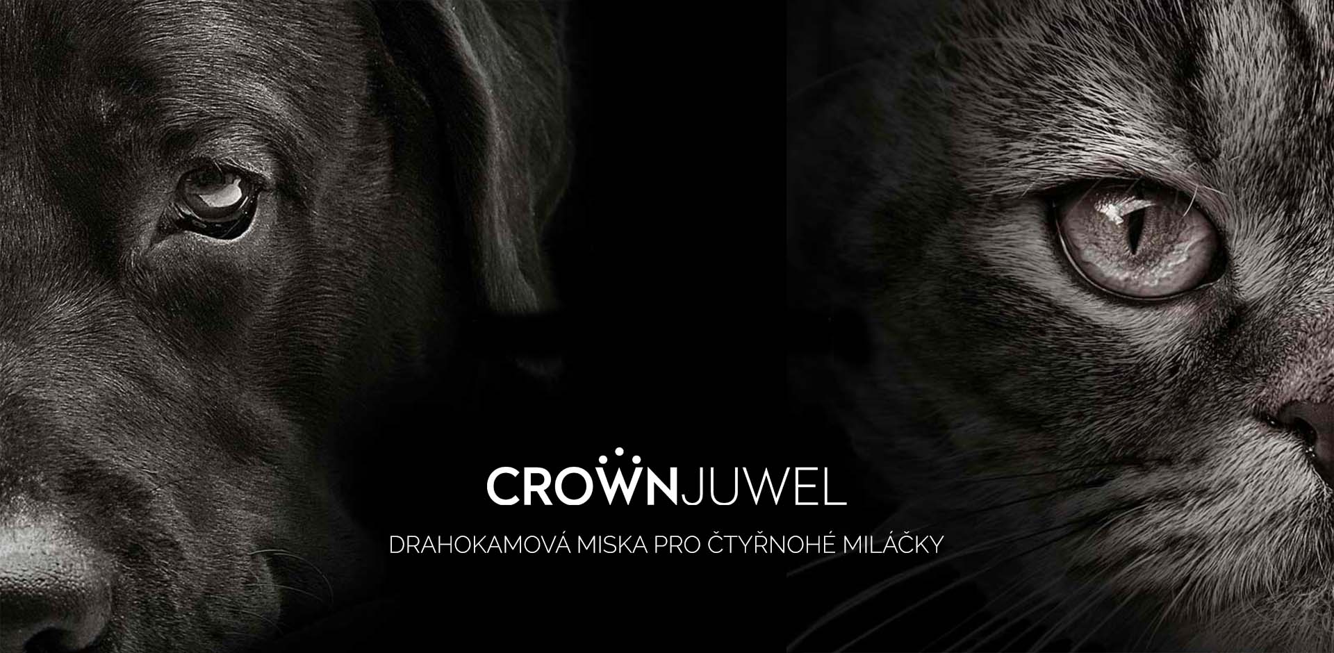 CrownJuwel drahokamová miska pro pejsky a kočky