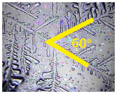 Mikrofotografie pod mikroskopem ukazující strukturu drahokamové vody VitaJuwel