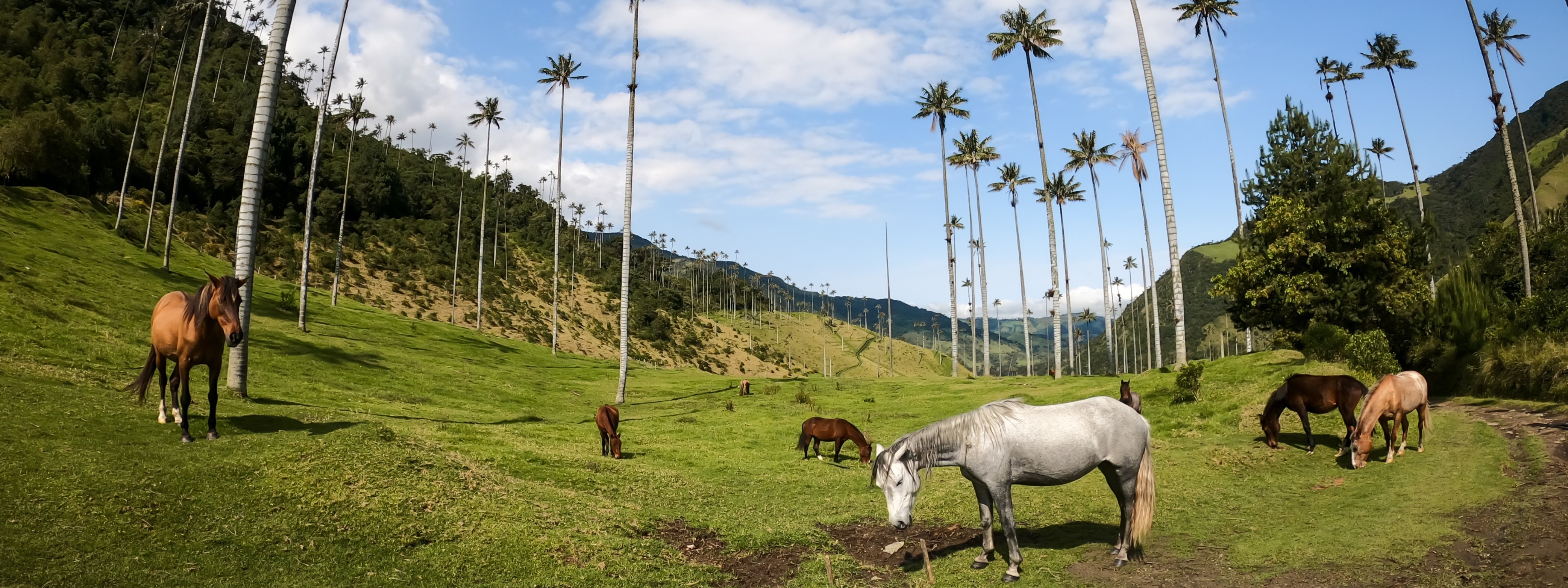 Zážitková cesta Kolumbií