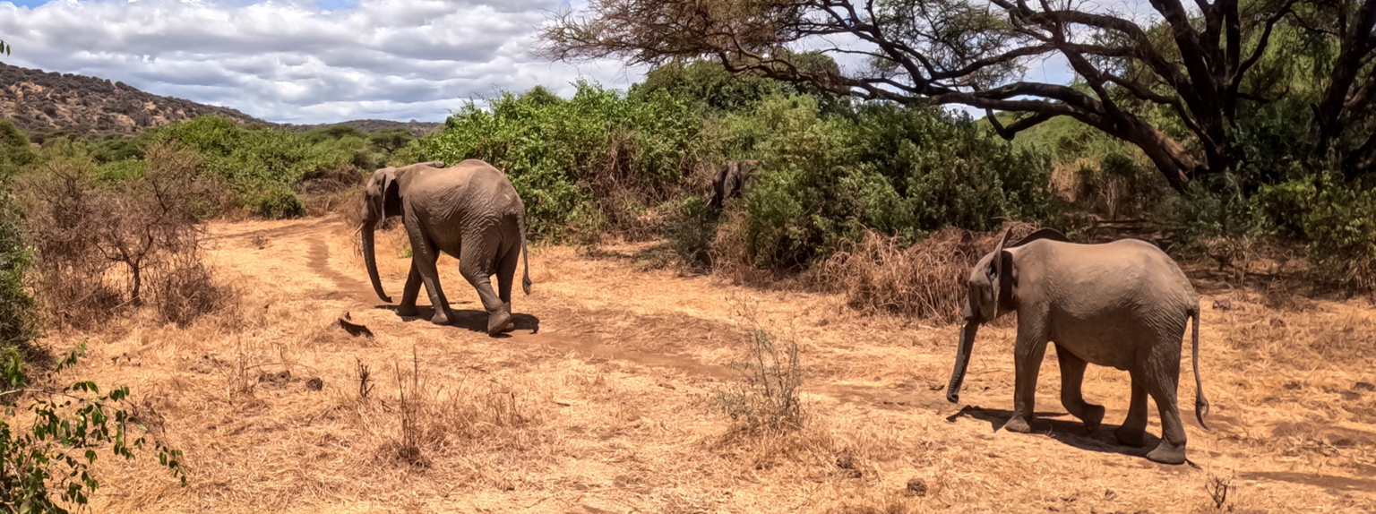 Všechny tváře Tanzanie
