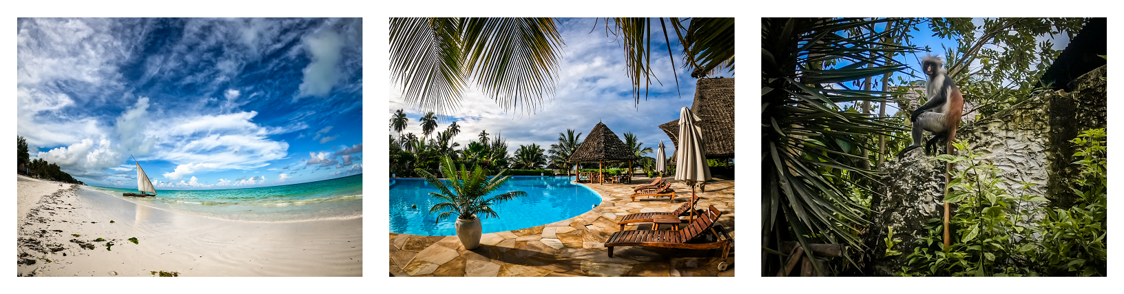 Zanzibar