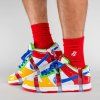 tenisky a boty nike sb dunk low ebay sandy bodecker panske damske FD8777-100 1 g