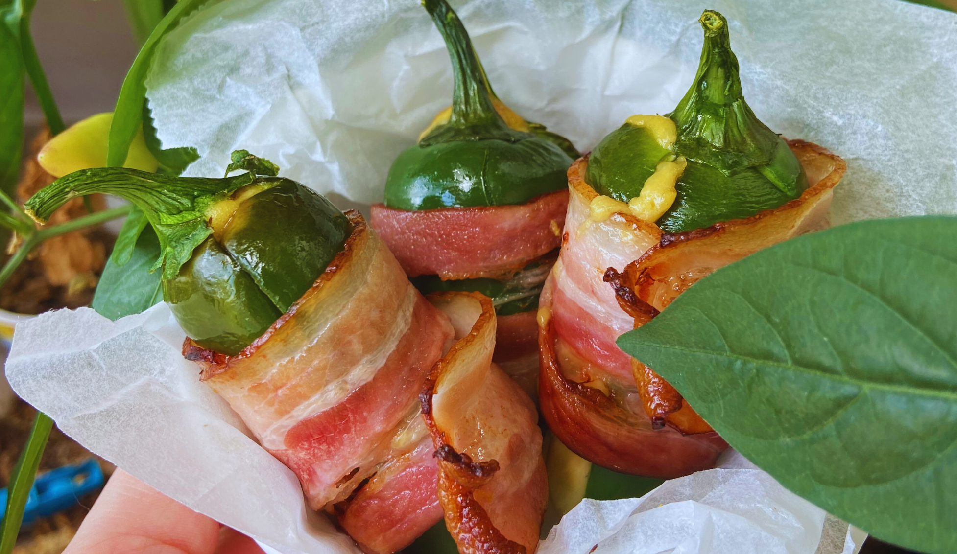 Jalapeños plněné cheddarem v kabátku ze slaniny