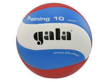 Volejbalový míč GALA Training 10 BV 5561 S
