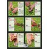 Rybářské nářadí nebo pomůcka Suretti Ground Bait Compressor L