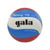 Volejbalový míč GALA Training 10 BV 5561 S