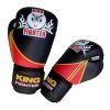 Boxerské rukavice VICTORY (váha/velikost 10)