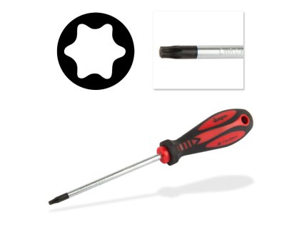 Skrutkovač torx T15x5x100