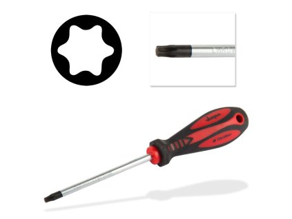 Skrutkovač torx T25x6x100