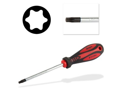 Skrutkovač torx T27x6x100