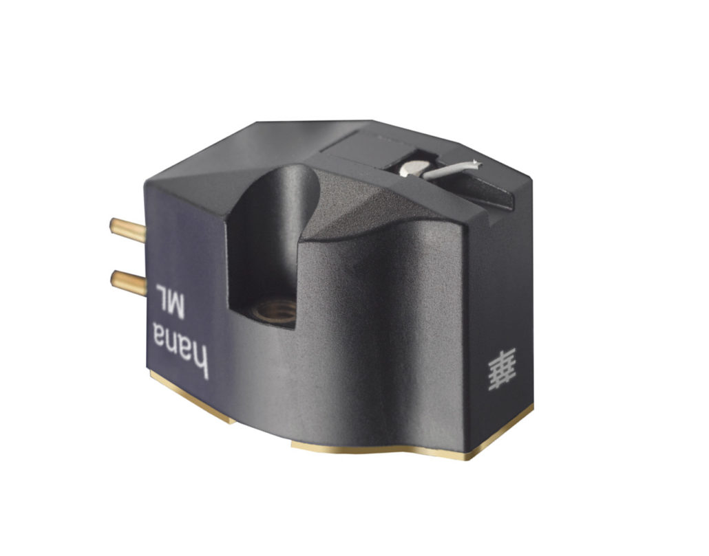 hana-ML-1-1-1030x809-1