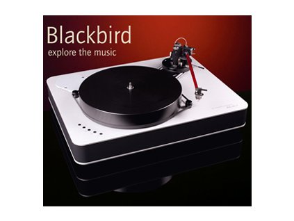 feickert blackbird