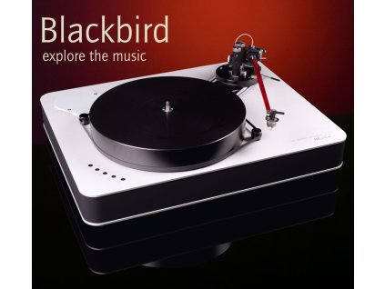 Blackbird 01
