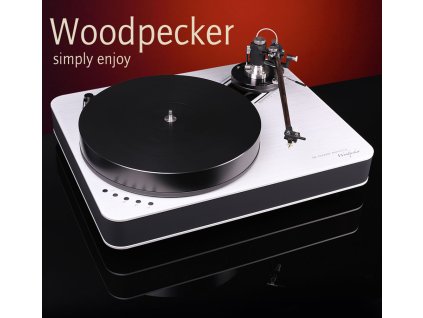 Woodpecker big 03
