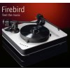 Firebird big 03